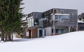 North Estate City House